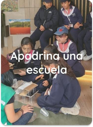 Apadrina una escuela